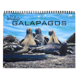 Galapagos Calendars | Zazzle