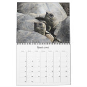 wildlife galapagos 2024 calendar (Mar 2025)