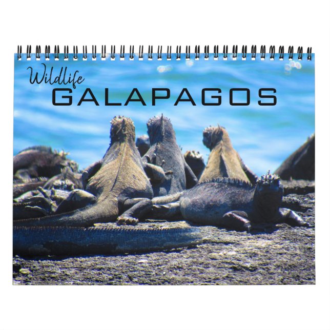 wildlife galapagos 2024 calendar (Cover)