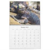 wildlife galapagos 2024 calendar (Jan 2025)