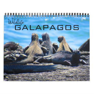 wildlife galapagos 2024 calendar