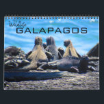 wildlife galapagos 2027 calendar<br><div class="desc">Photographic any-year calendar featuring 12 scenes of the amazing wildlife of the Galápagos Islands, from marine iganuas, sea-lions, giant tortoises, penguins and more . Fully customizable calendar - makes a great gift. Available for any year and in a range of languages and holiday configurations. Remember to select your chosen year...</div>