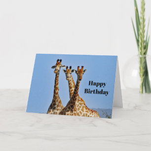 Wildlife Giraffe Herd Photo Birthday Card