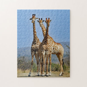 Wildlife Giraffe Herd Photo Jigsaw Puzzle