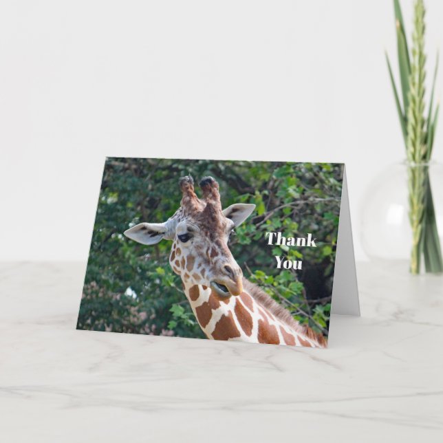 Wildlife Giraffe Portrait Photo Thank You Card (Front)