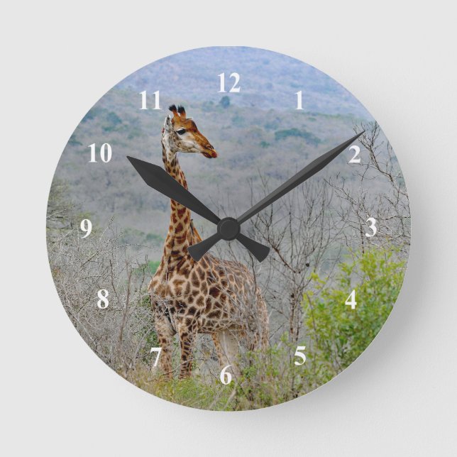 Wildlife Giraffe Savannah Photo Round Clock (Front)