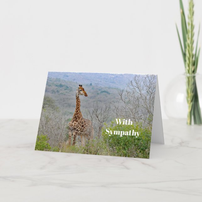 Wildlife Giraffe Savannah Photo Sympathy Card (Front)