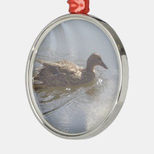 Wildlife Goose swimming in Lake, Nature, Bird Metal Ornament