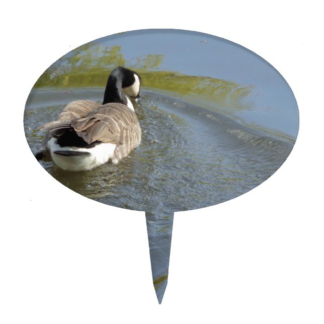 Wildlife Goose swimming in Lake, Water Circle Cake Topper (Front)