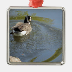 Wildlife Goose swimming in Lake, Water Circle Metal Ornament