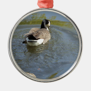 Wildlife Goose swimming in Lake, Water Circle Metal Ornament