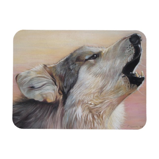 wildlife gray wolf howling against the sunset magnet (Horizontal)