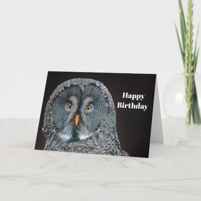 Wildlife Great Gray Owl Birthday Card (Front)