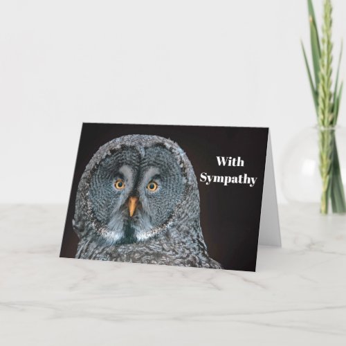 Wildlife Great Gray Owl Photo Sympathy Card