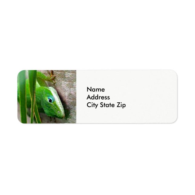 Wildlife Green Carolina Anole Lizard Photo Label (Front)