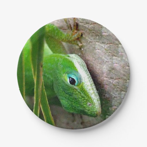 Wildlife Green Carolina Anole Lizard Photo Paper Plates