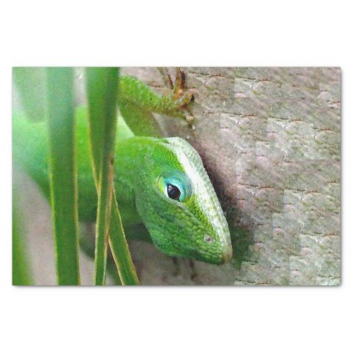Wildlife Green Carolina Anole Lizard Photo Tissue Paper