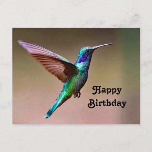 Wildlife Green Hummingbird Photo Birthday Postcard