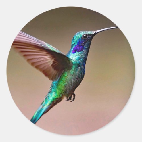 Wildlife Green Hummingbird Photo Classic Round Sticker