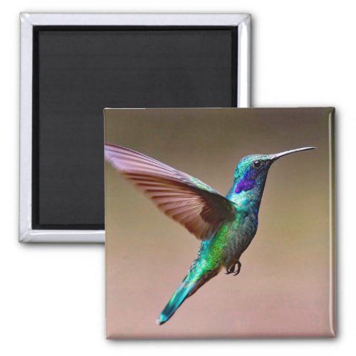 Wildlife Green Hummingbird Photo Magnet