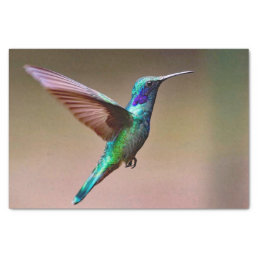 Wildlife Green Hummingbird Photo Tissue Paper