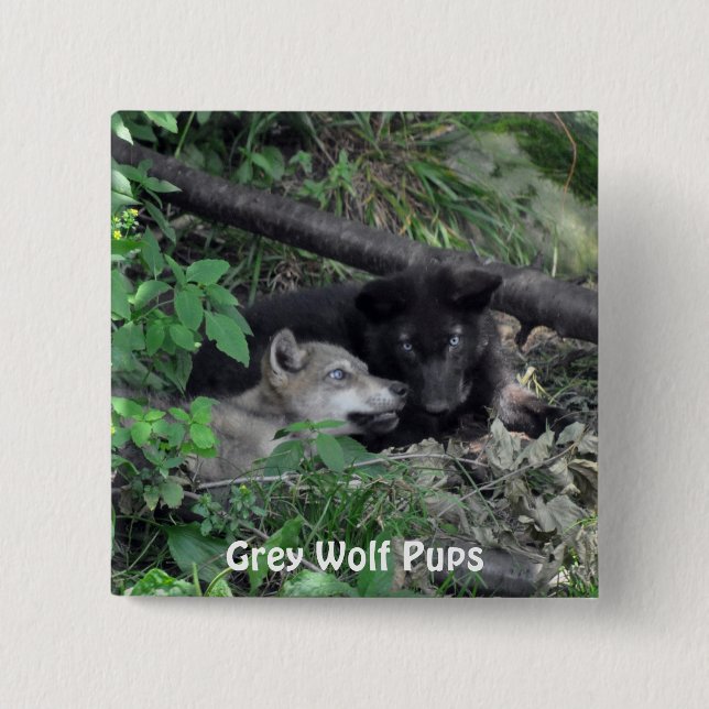 Wildlife Grey Wolf Animal-lover design Pinback Button (Front)