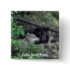 Wildlife Grey Wolf Animal-lover design Pinback Button
