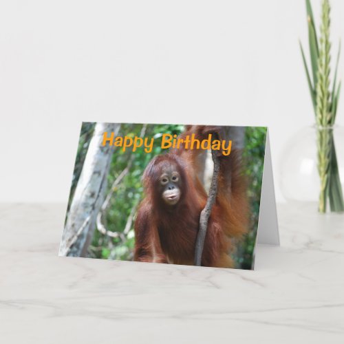 Wildlife Happy Birthday Card