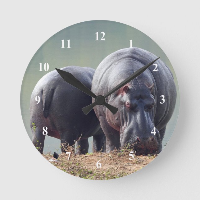 Wildlife Hippo Photo Round Clock (Front)