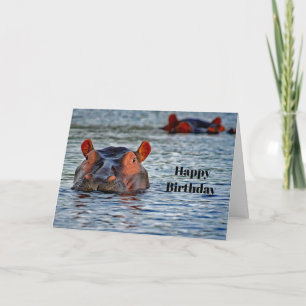 Wildlife Hippo Water Photo Birthday Card