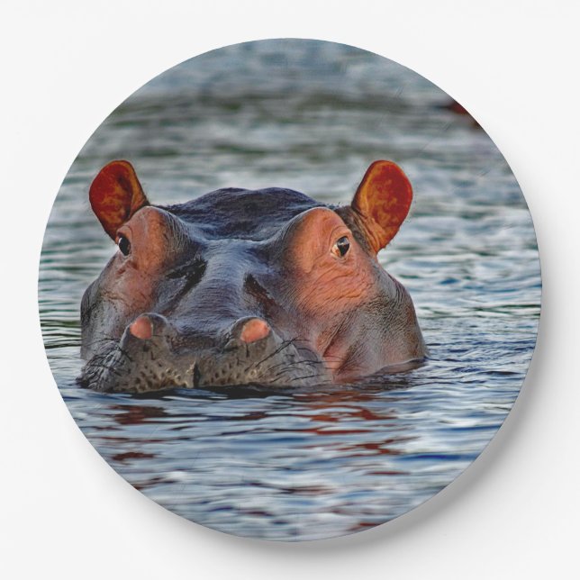 Wildlife Hippo Water Photo Paper Plates (Front)