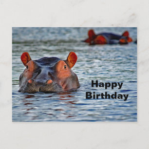 Wildlife Hippo Water Photo Postcard
