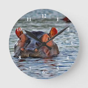 Wildlife Hippo Water Photo Round Clock