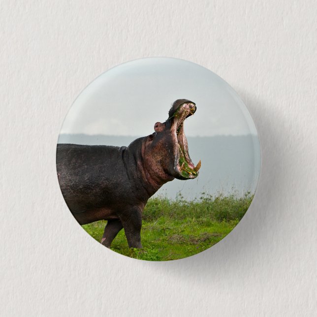 Wildlife Hippopotamus Photo Button (Front)