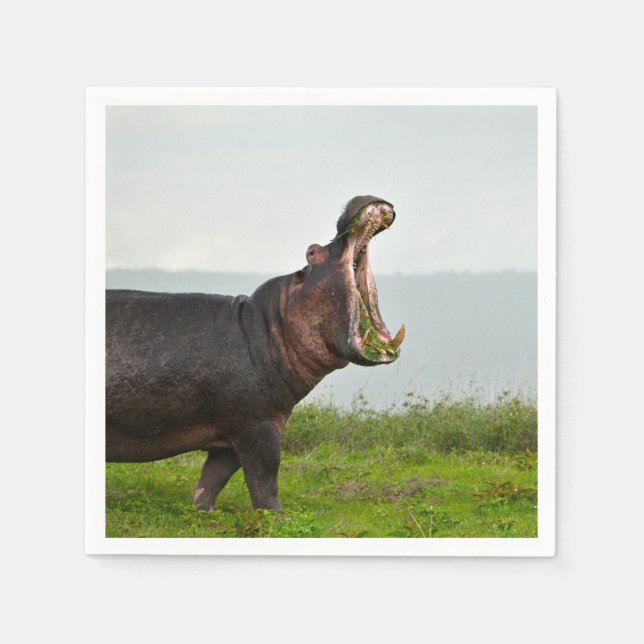 Wildlife Hippopotamus Photo Napkins (Front)