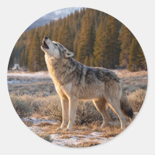 Wildlife Howling Gray Wolf Wilderness Scene Classic Round Sticker