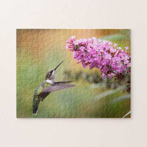 Wildlife Hummingbird Floral Photo Jigsaw Puzzle
