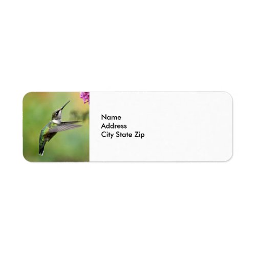 Wildlife Hummingbird Floral Photo Label
