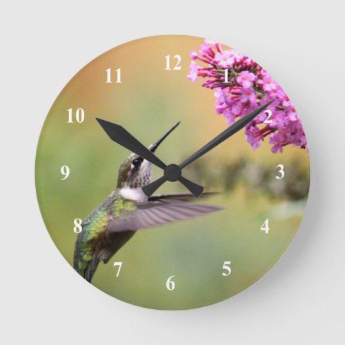 Wildlife Hummingbird Floral Photo Round Clock