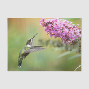 Wildlife Hummingbird Floral Photo Tissue Paper