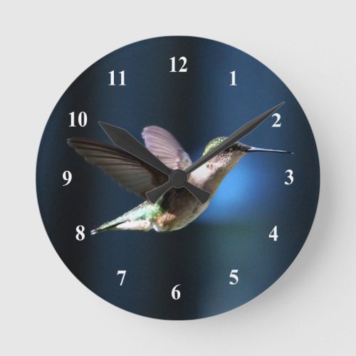 Wildlife Hummingbird Photo Round Clock