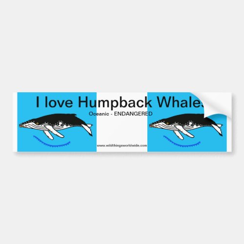 Wildlife _ I love Humpback WHALES _Animal lover _  Bumper Sticker