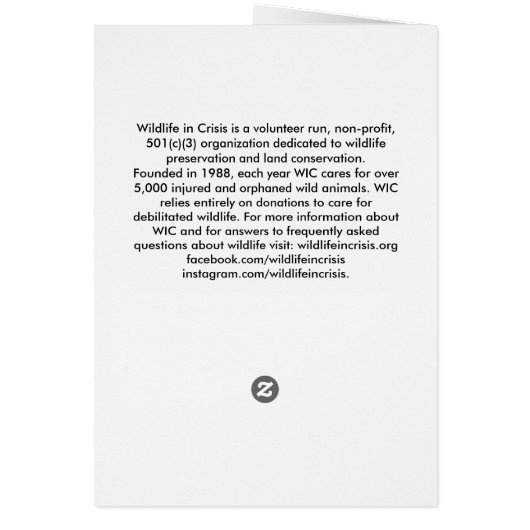 Wildlife in Crisis (Back)