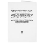 Wildlife in Crisis Cards (Back)