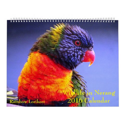 Wildlife in Nerang 2016 Calendar