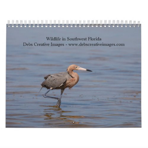 Wildlife in Southwest Florida 2025 Calendar