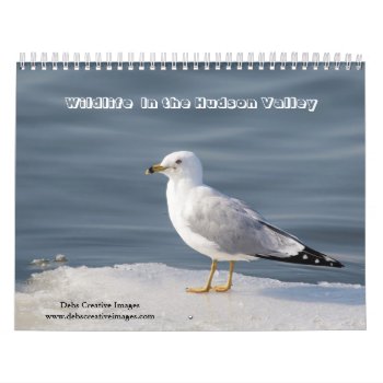 Wildlife In The Hudson Valley 2024 Calendar by debscreative at Zazzle