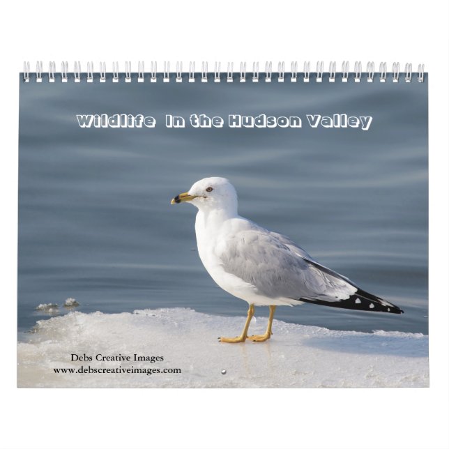Wildlife in the Hudson Valley 2026 Calendar (Cover)