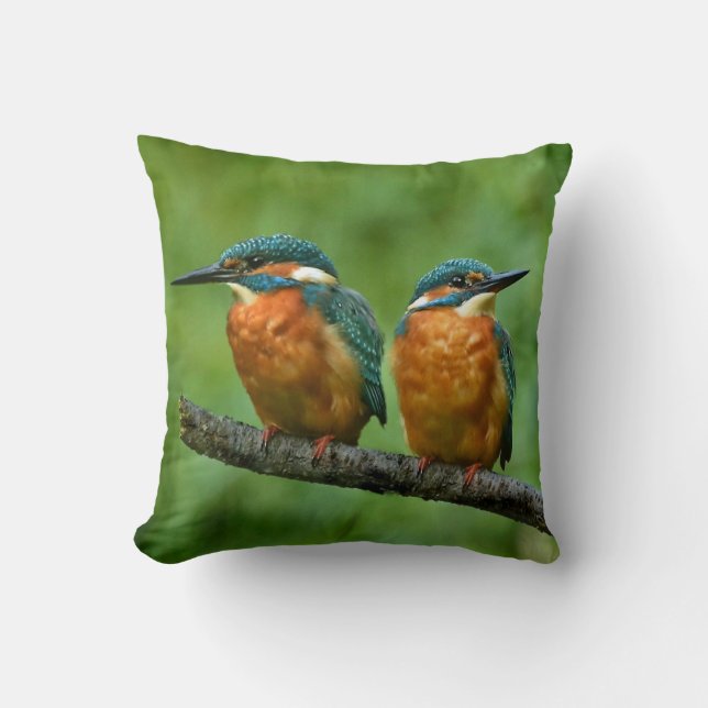 Wildlife Kingfisher Photo Throw Pillow (Front)