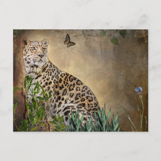 Wildlife Leopard and Butterfly Digital Painting Postcard (Front)